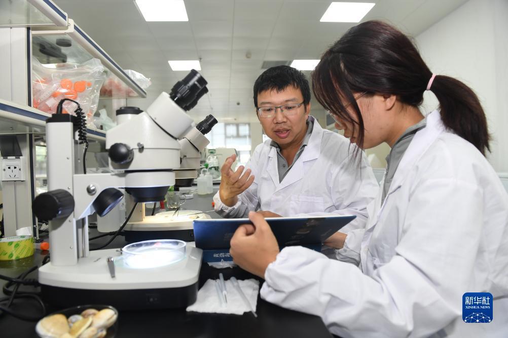 太阳城游戏官网网址